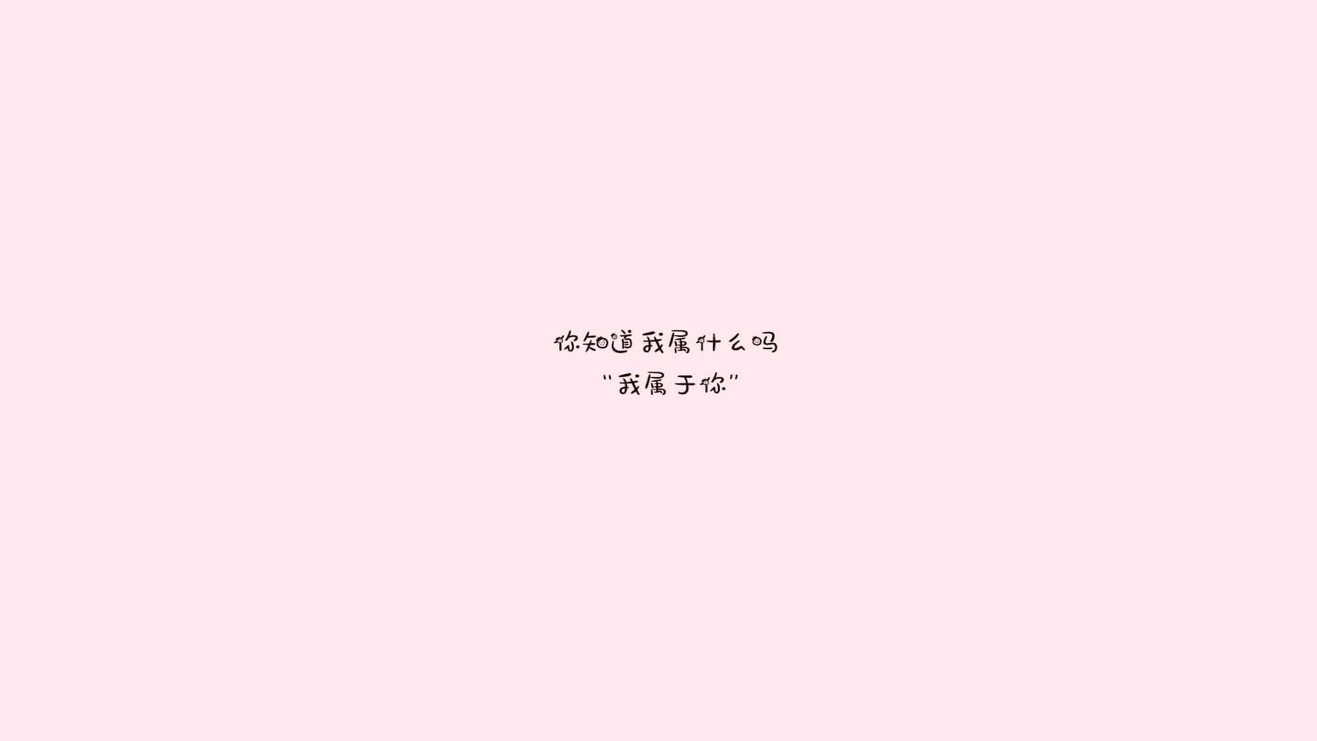 KAIYUN 中国大陆-帕尔梅拉斯冲击巴甲冠军，帕尔梅拉斯对巴西国际