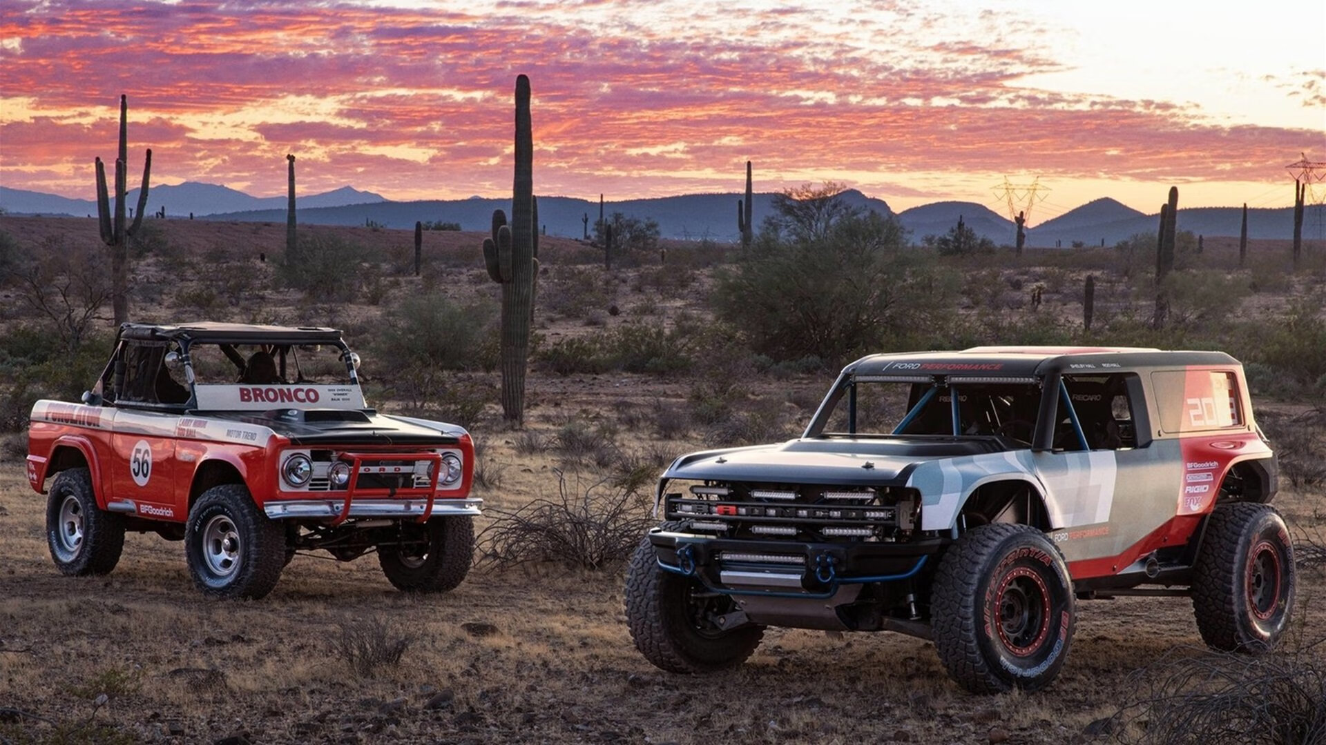 校园体育文化对学生社交能力影响研究，良好的校园体育文化对促进学生的发展有着重要作用