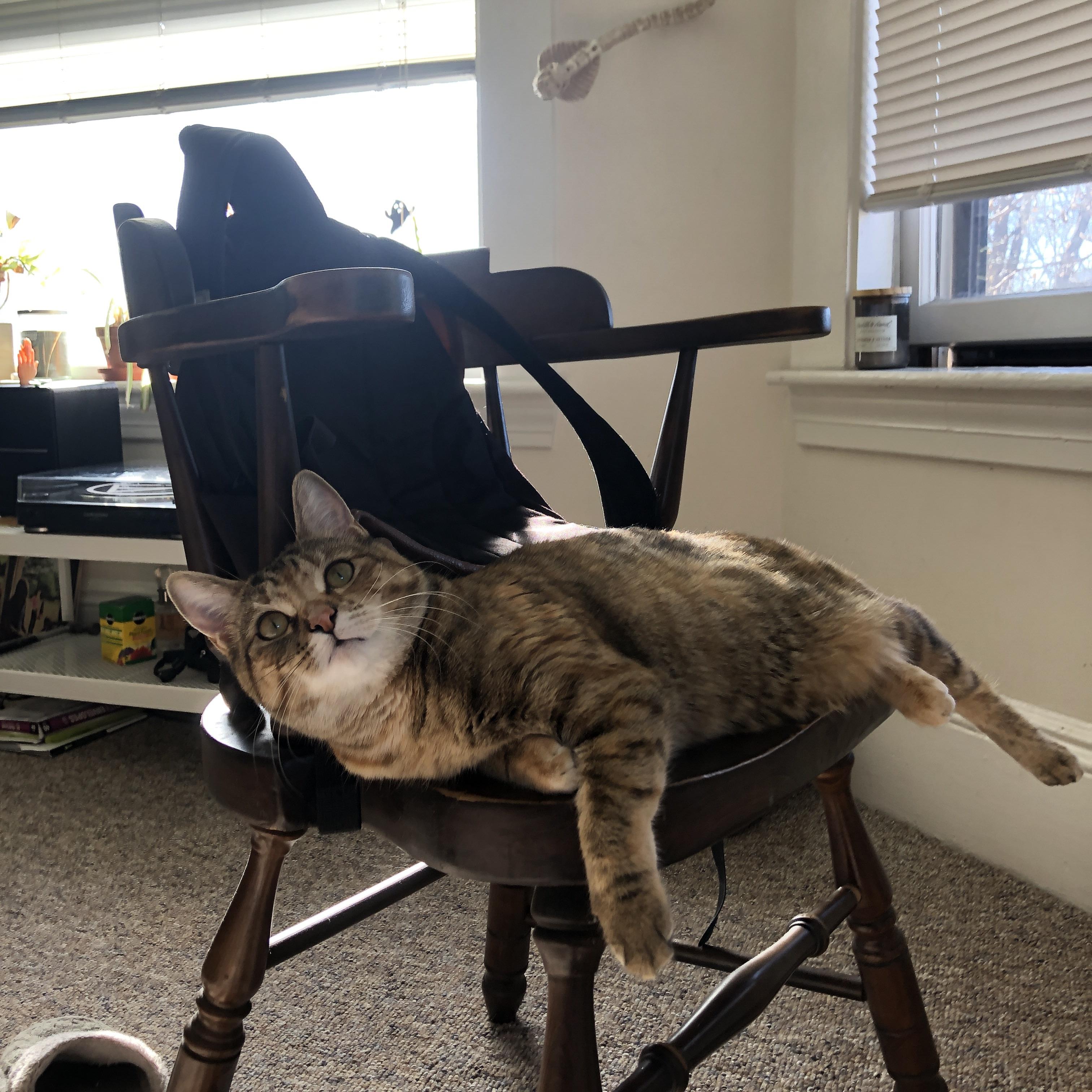 亚洲杯国家队战败 球迷呼吁系统完善，亚洲杯国家队大名单