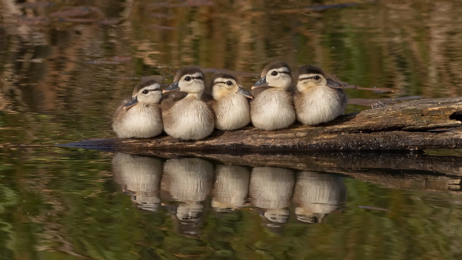 开云官网-场上配合意识决定整体打法效率，配合意识是什么意思