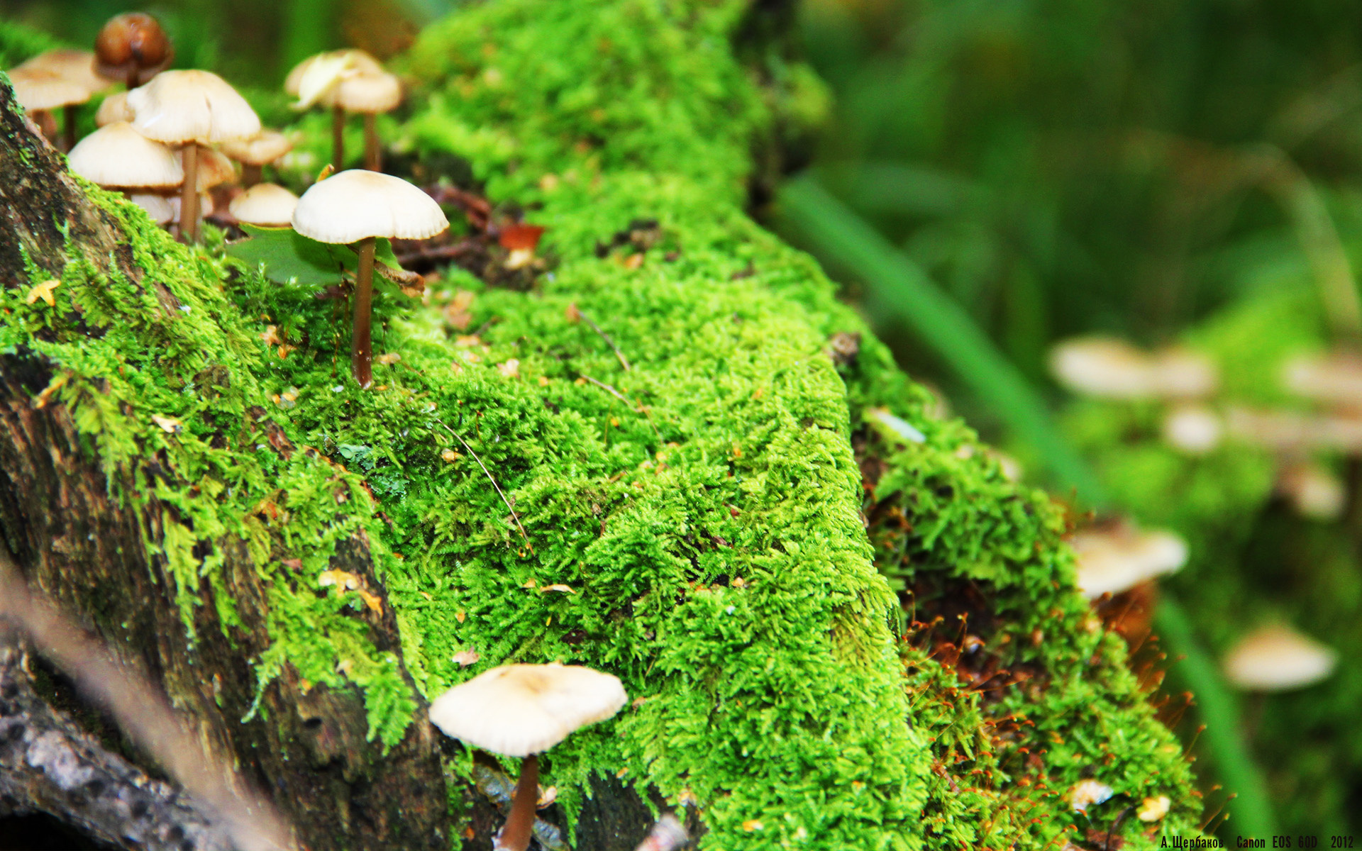 数据背后的真实比赛表现解读，数据背后的真相