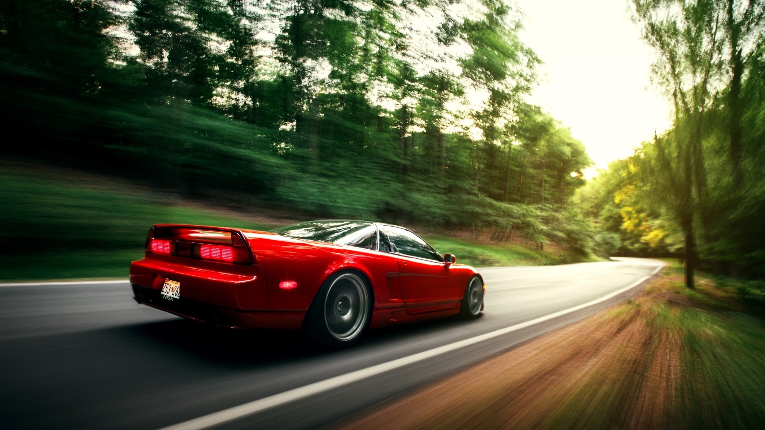 开云·体育官网-“彼得森的突破性表现，让南非羚羊队战无不胜”