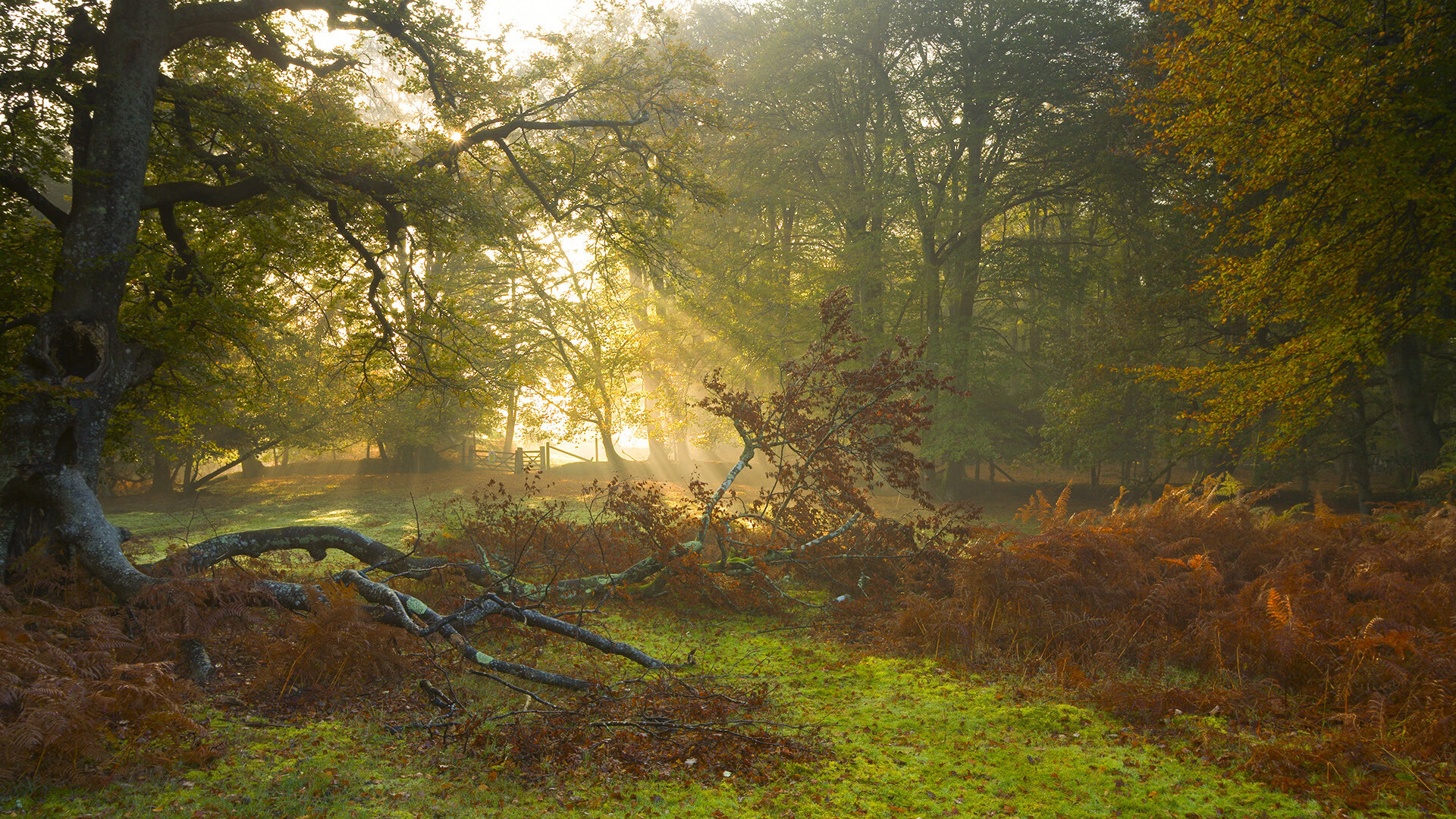 kaiyun中国官方网站-主教练展望下阶段赛程坦言挑战与机遇并存必须全力以赴，主教练上场比赛