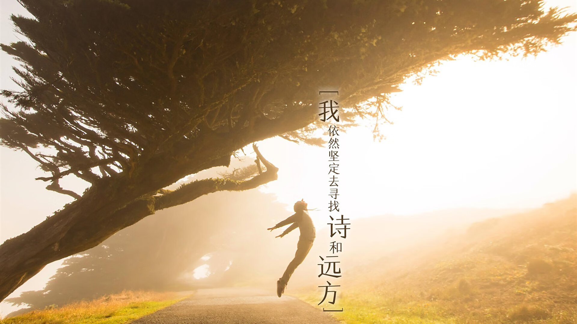 乌拉圭女篮在南美锦标赛中勇夺冠军，彰显强劲实力，乌拉圭蓝球