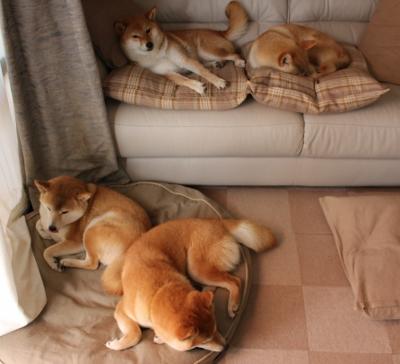 陈芋汐高难度动作成胜负关键,陈芋汐可提升的环节,听听前冠军怎么说