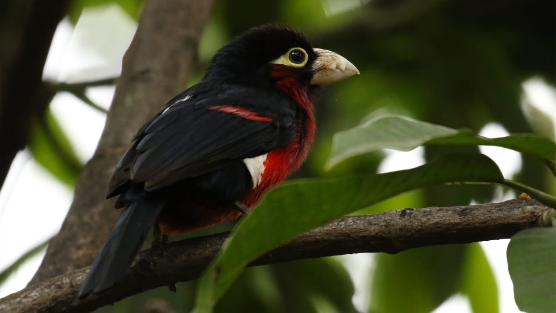 青少年足球培训标准出台明确不同年龄段重点,青少年足球培训机构有哪些品牌