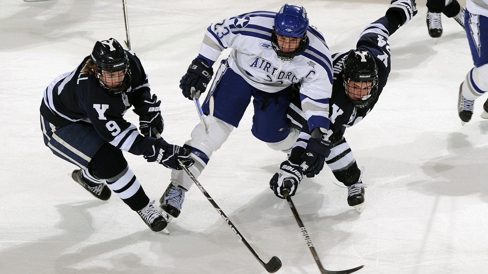 智能体育设备用户行为分析，智能体育设施